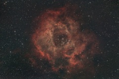 Nebulosa Rosetta - Daniele Cuomo Coppola