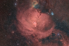 Nebulosa Cono e Ammasso Albero di Natale - Mario Sandri