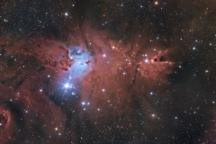 Nebulosa Cono e Ammasso Albero di Natale - Mario Sandri