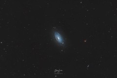 M63 - Mario Sandri