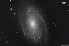 M81 - Ivan Montini